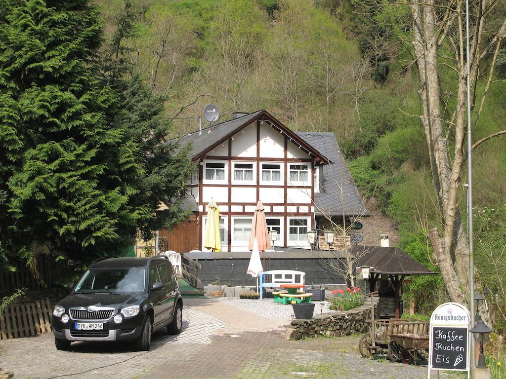 Pension&Apartments Linkemühle Niederfell Exterior foto