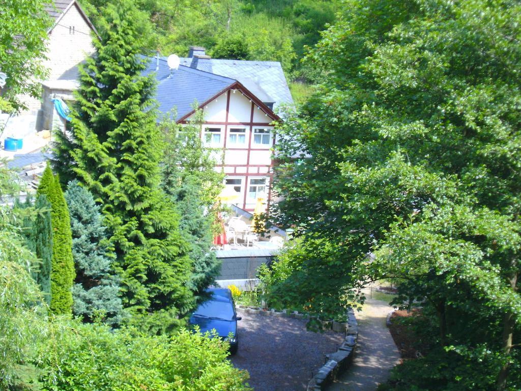 Pension&Apartments Linkemühle Niederfell Exterior foto