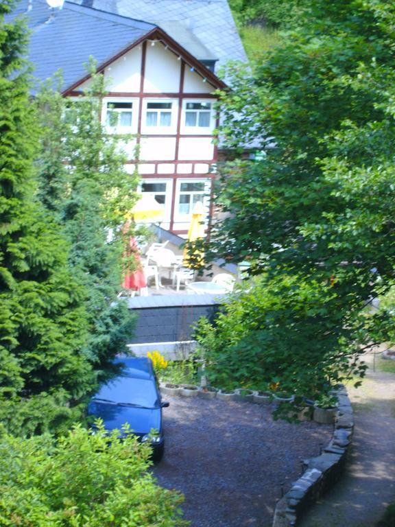 Pension&Apartments Linkemühle Niederfell Exterior foto